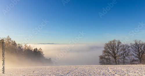 Inversion fog under small ski slope with trees during sunny day. Sport, touristic Czech landscape