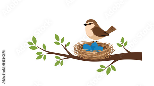 Illustration of a small brown bird standing on its nest containing three blue eggs perched on a leafy tree branch.