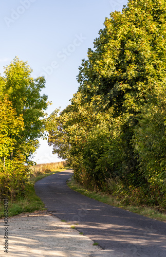 Village path through rural summer landscape panorama of the Góry Sowie (Owl Mountains), Poland, with green hills, meadows, forests, and clear blue sky in natural daylight.
