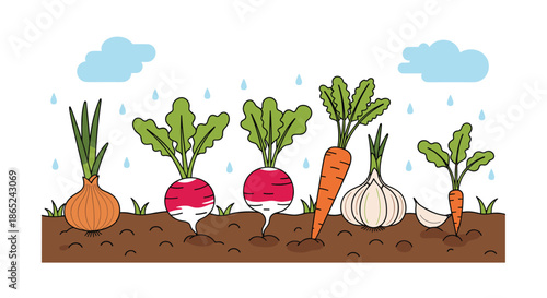 Fresh root vegetables like carrots, radishes, onions, and garlic growing in a garden bed with cartoon rain clouds watering the healthy organic crop.