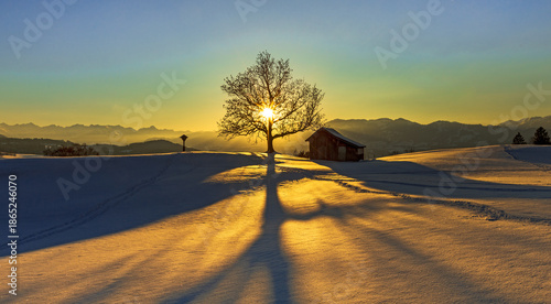Allgäu - Winter - Sonnenuntergang - malerisch - Stadel - Baum - Alpen - Hütte - Berge