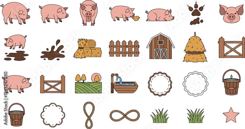Cute farm pigs and rustic barn elements illustrations