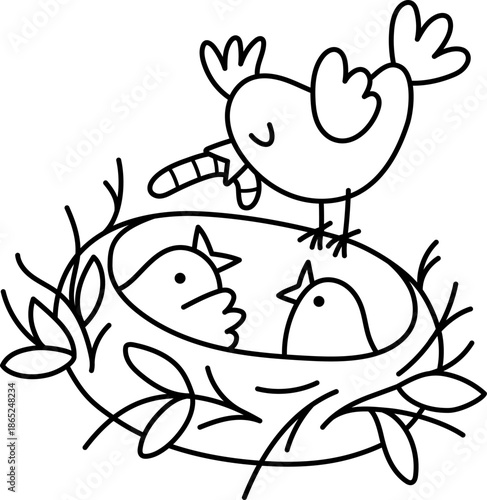 Vector line bird with worm in beak feeding nestlings in the nest. Farm or Easter village black and white illustration isolated on white background. Cute spring animal clipart or coloring page for kids