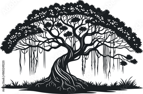 Tableau sur toile Majestic banyan tree silhouette with intricate branches and flowing aerial roots