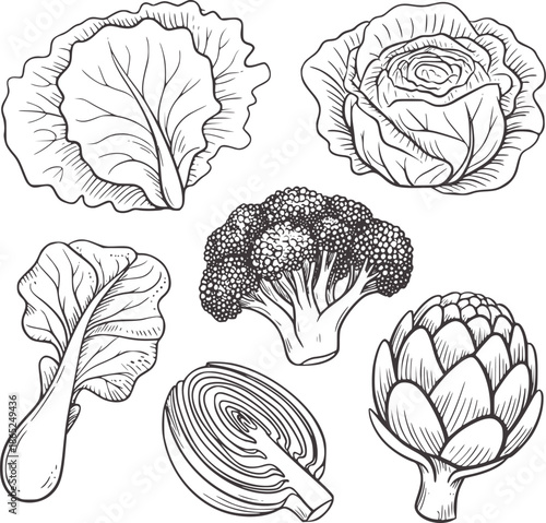 Monochrome hand drawn vegetable featuring cabbage broccoli onion artichoke
