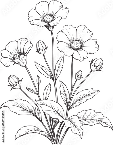 Monochrome line of flowering plant cluster with buds and leaves black outline