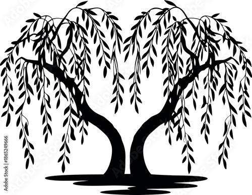 Symmetrical black silhouette of two elegant weeping willow trees forming a graceful heart shape isolated on white background