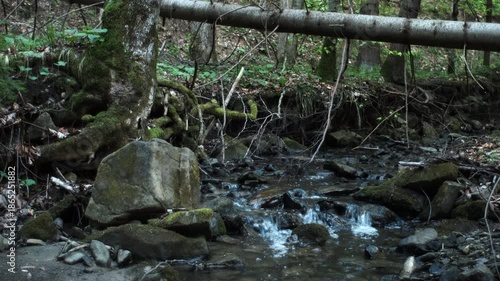 Wallpaper Mural Bubbling stream of mountain river in spring time. Water flows down stones in strong stream at sunny day. Nature concept Torontodigital.ca