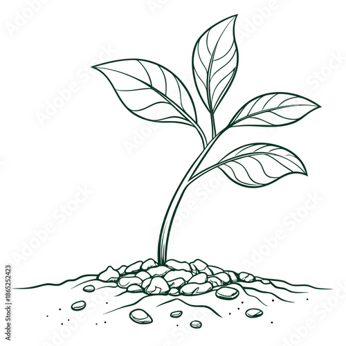 Leaf Sprouting from Soil Line Art Vector