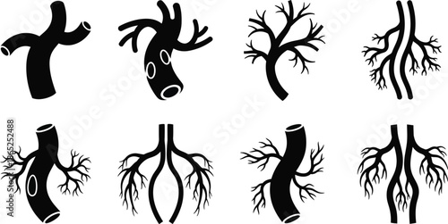 Anatomy of branching vessels medical illustration with distinct silhouette on transparent background