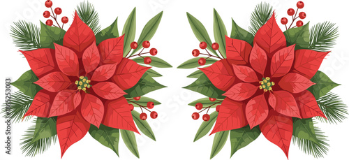 Elegant red poinsettia flower arrangements with green pine branches and red berries vector illustration for Christmas holiday season cards and festive decorations