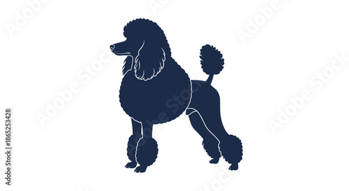 Poodle silhouette standing in show pose against white background for canine breed illustration and dog show representation.