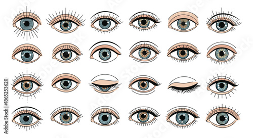 Detailed set of illustrated human eyes showing different shapes and colors and eyelash styles on white background.