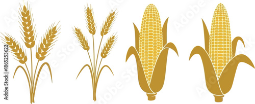 Golden wheat and corn stalks illustration a versatile graphic on transparent background silhouette
