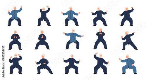 Extensive set of senior men and women practicing various Tai Chi and Qigong poses for meditation, balance, and physical health.