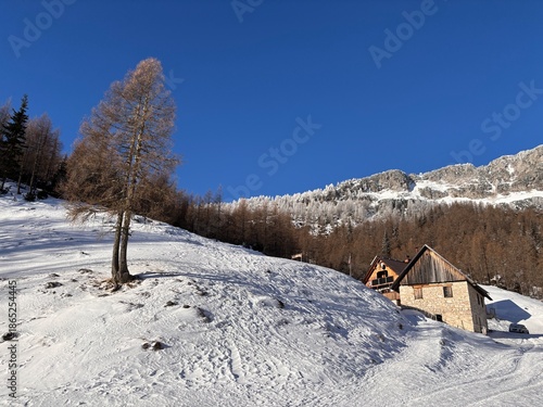 Фотография Julian Alps winter landscape, path to Debela pec peak