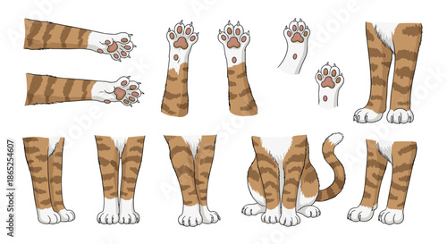 Array of ginger cat paws, legs, and a sitting kitten illustration in various poses on a clean white background.