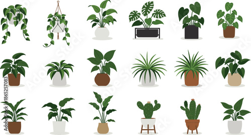 Collection of modern indoor houseplants in decorative pots, including hanging vines, tropical foliage, cactus, and succulent plants arranged neatly in stylish planters for home decor