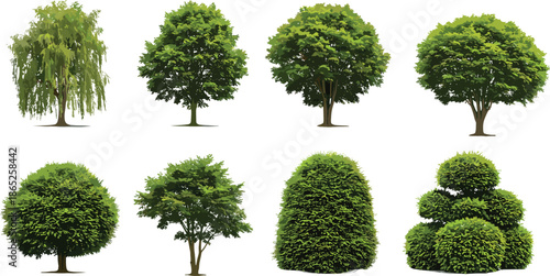 Collection of realistic green tree vector illustrations, isolated garden trees, landscape design elements, decorative bushes, high quality clipart