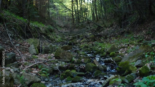 Wallpaper Mural Small mountain water stream runs down hill in spring or summer time. Nature concept. Water in natural stream in national park, protected natural area or reserve Torontodigital.ca