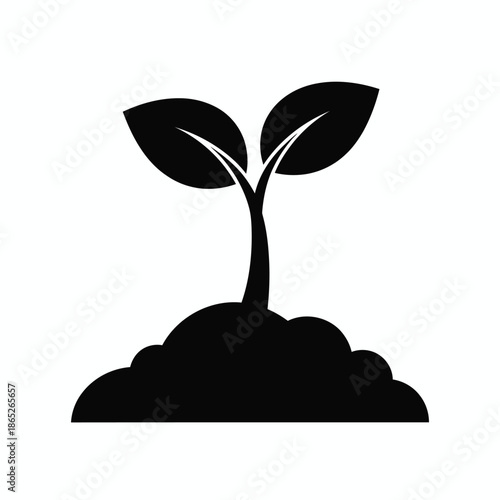 Young plant sprouting from soil