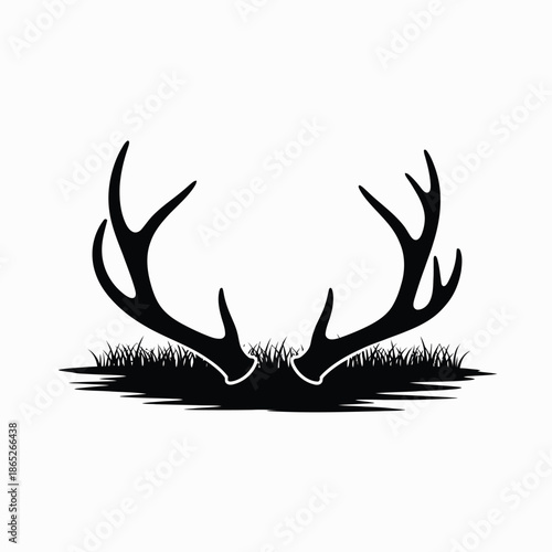 Deer antlers in grass