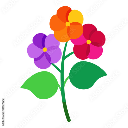 honesty flower lunaria annua on white background 