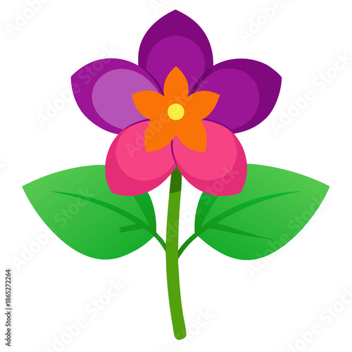 honesty flower lunaria annua vector