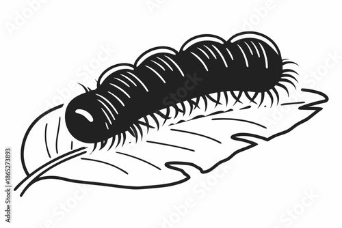 Hairy Caterpillar Larva on Leaf Black and White Illustration