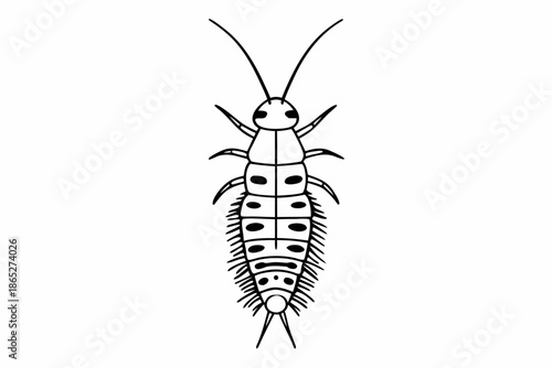 Lacewing Larva Insect Predator Black and White Illustration