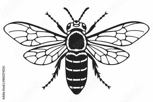Stylized Black and White Bee or Wasp Insect Illustration