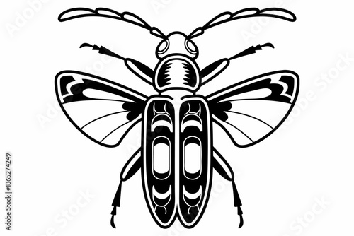Stylized Black and White Beetle Insect Illustration