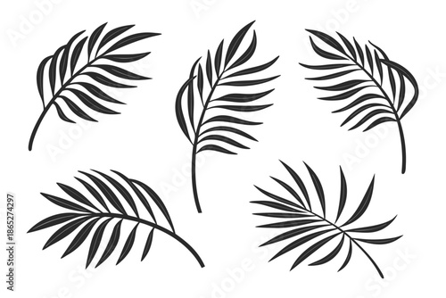 Tropical Palm Leaves Silhouette Vector Set Illustration