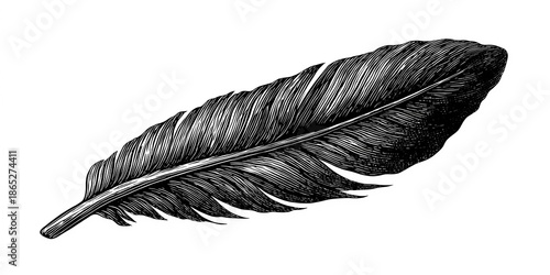 Feather resting gently against a bright white backdrop, emphasizing softness and visual balance in composition