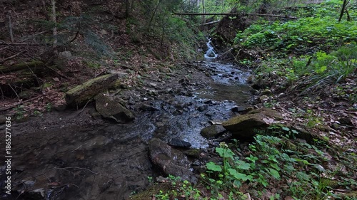 Wallpaper Mural Water in natural stream in national park, protected natural area or reserve. Small mountain stream runs down hill in summer time. Nature concept Torontodigital.ca