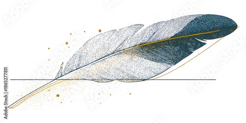 White background photograph featuring an isolated feather, perfect for minimalist nature or wellness design themes