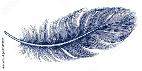 White background photograph featuring an isolated feather, perfect for minimalist nature or wellness design themes
