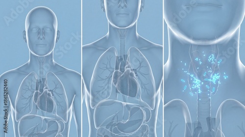 Human Throat Anatomy with Bacteria Infection Visualization