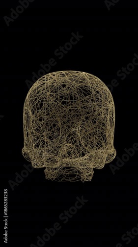 Abstract Skull Formed from Flowing Splines with Alpha Channel