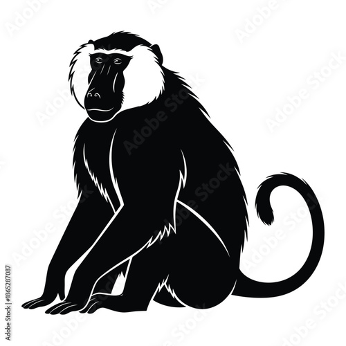 Silhouette of a sitting monkey with distinctive facial features and curled tail