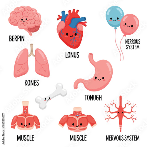 Human Body Organs and Systems Cartoon Illustrations