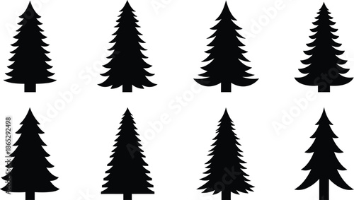 Collection of black spruce trees in various shapes on transparent background silhouette