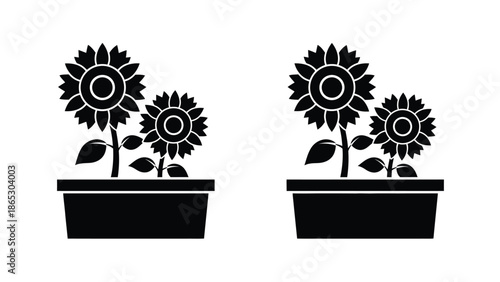 Black and white illustration of sunflowers in pots simple floral design