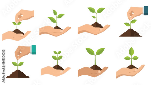 Hands nurturing plant growth a visual representation of stages of development