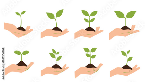 Hands holding small plants showing growth stages from sprout to seedling