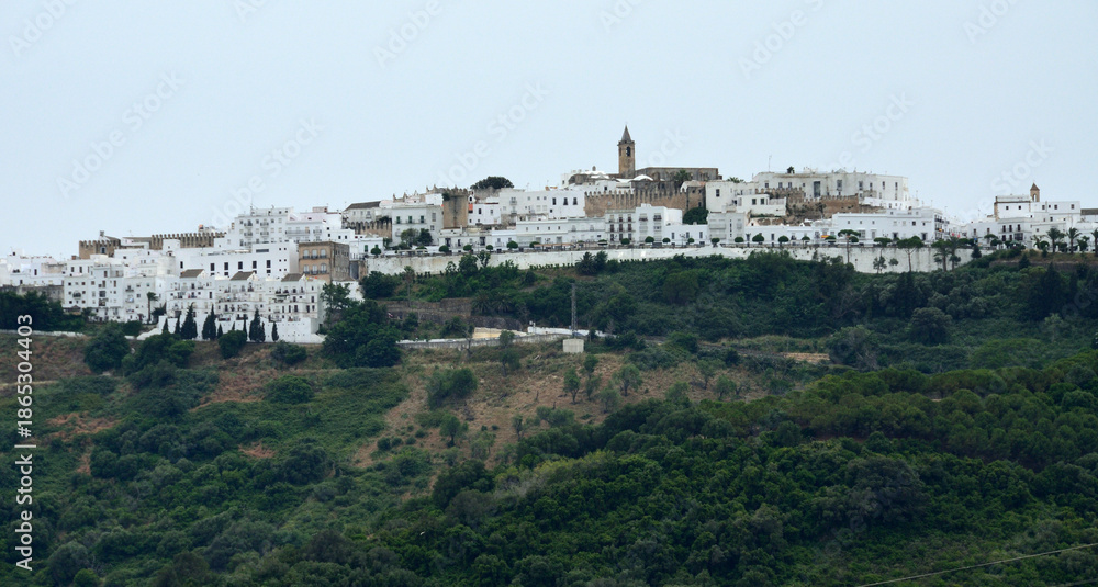 Fototapeta premium Vista de Vejer de la Frontera en lo alto de un cerro desde la carretera A-396, provincia de Cádiz, Andalucía, España.
