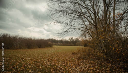 Wallpaper Mural Park during fall with brown leaves on branches and dry grass, highlighting seasonal transition Torontodigital.ca