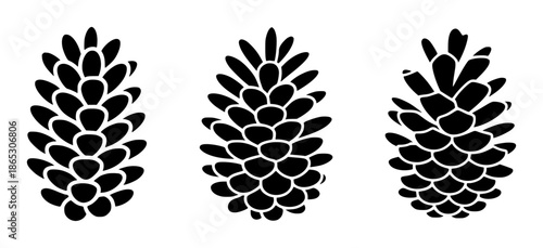 Black pine cone silhouettes a white background pinecone nature