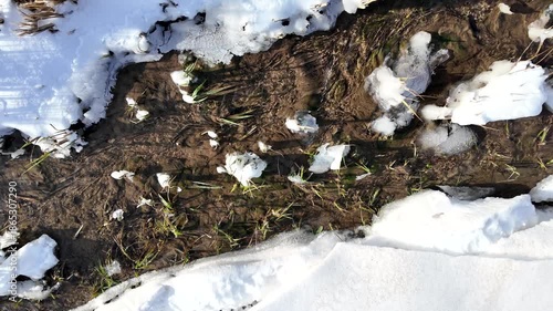Top view of spring water and first greenery