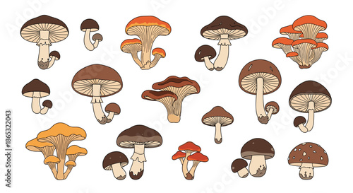 Colorful mushrooms form a diverse assortment of caps and stems in a whimsical forest scene illustrated in a playful flat style with varied shapes and colors.
